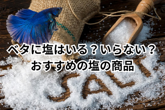 【ベタに塩はいる?いらない?】初心者が失敗しないおすすめの天然塩のベタ商品