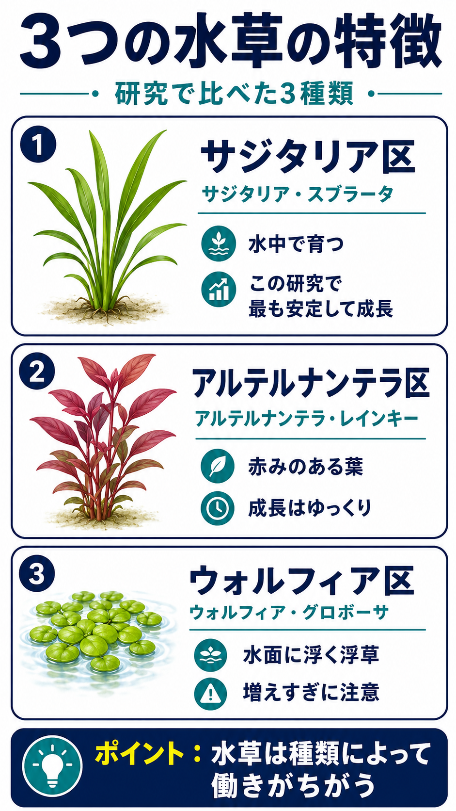 ベタに水草や隠れ家は必要？論文から考えるおすすめの水槽レイアウト