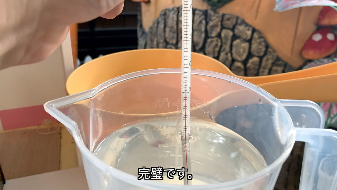 【ベタを小型水槽で放置飼育】水替えは3日〜4日の頻度で！水温に注意