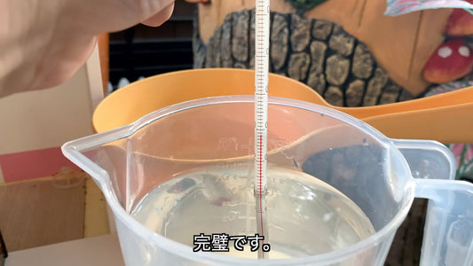 【ベタを小型水槽で放置飼育】水替えは3日〜4日の頻度で！水温に注意