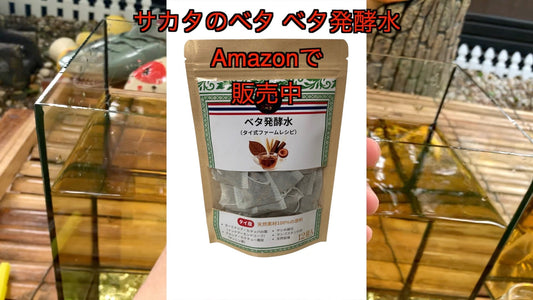 Amazonでベタの水槽・ヒーター・餌を買うなら一緒に「サカタのベタ」もおすすめ！
