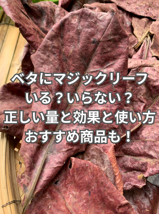 ベタにマジックリーフはいる？いらない？正しい量を使えば最高の水になる理由とおすすめ商品