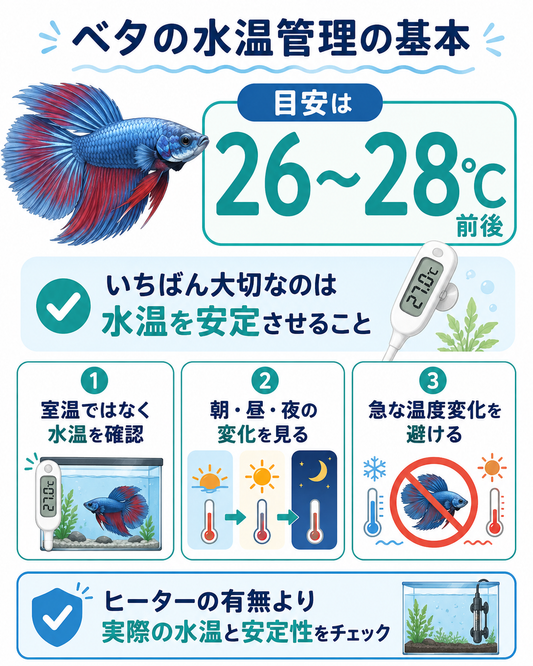 ベタにヒーターは必要？適温と水温の変化を論文から分かりやすく解説