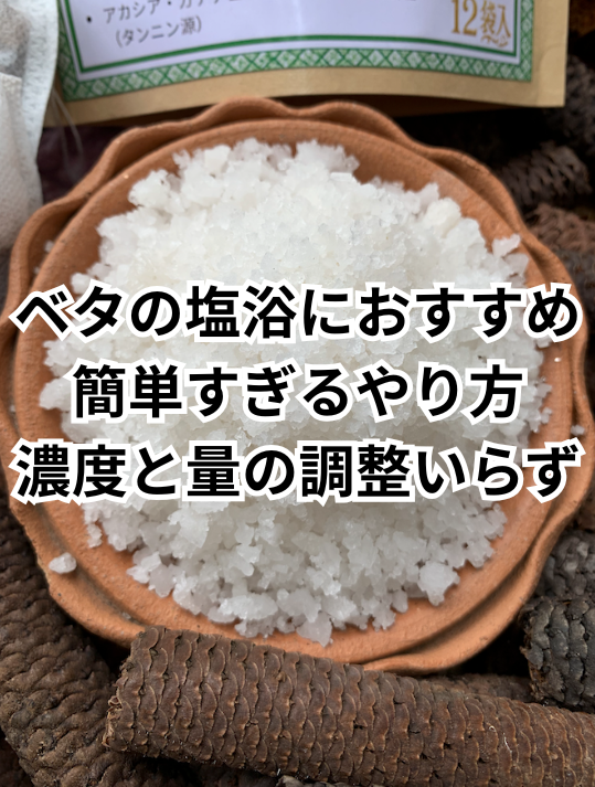 【初心者向け】ベタの塩浴の正しいやり方｜濃度・期間・食塩の選び方とベタ発酵水との違い