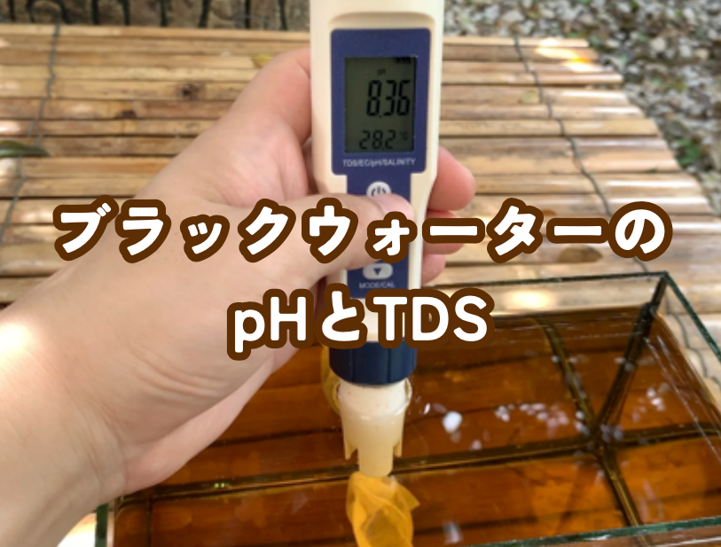 ブラックウォーターはpHを下げるだけじゃない良い効果とは！TDSについても解説