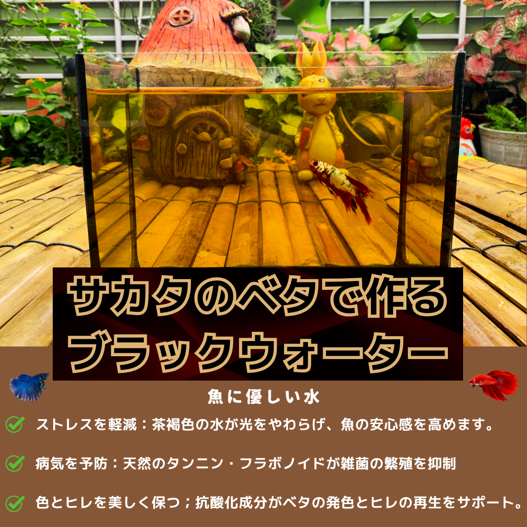 【5パック】お得な15%割引 送料無料｜ベタ発酵水（タイ式ファームレシピ）水質調整ティーバッグ 1パック12袋入