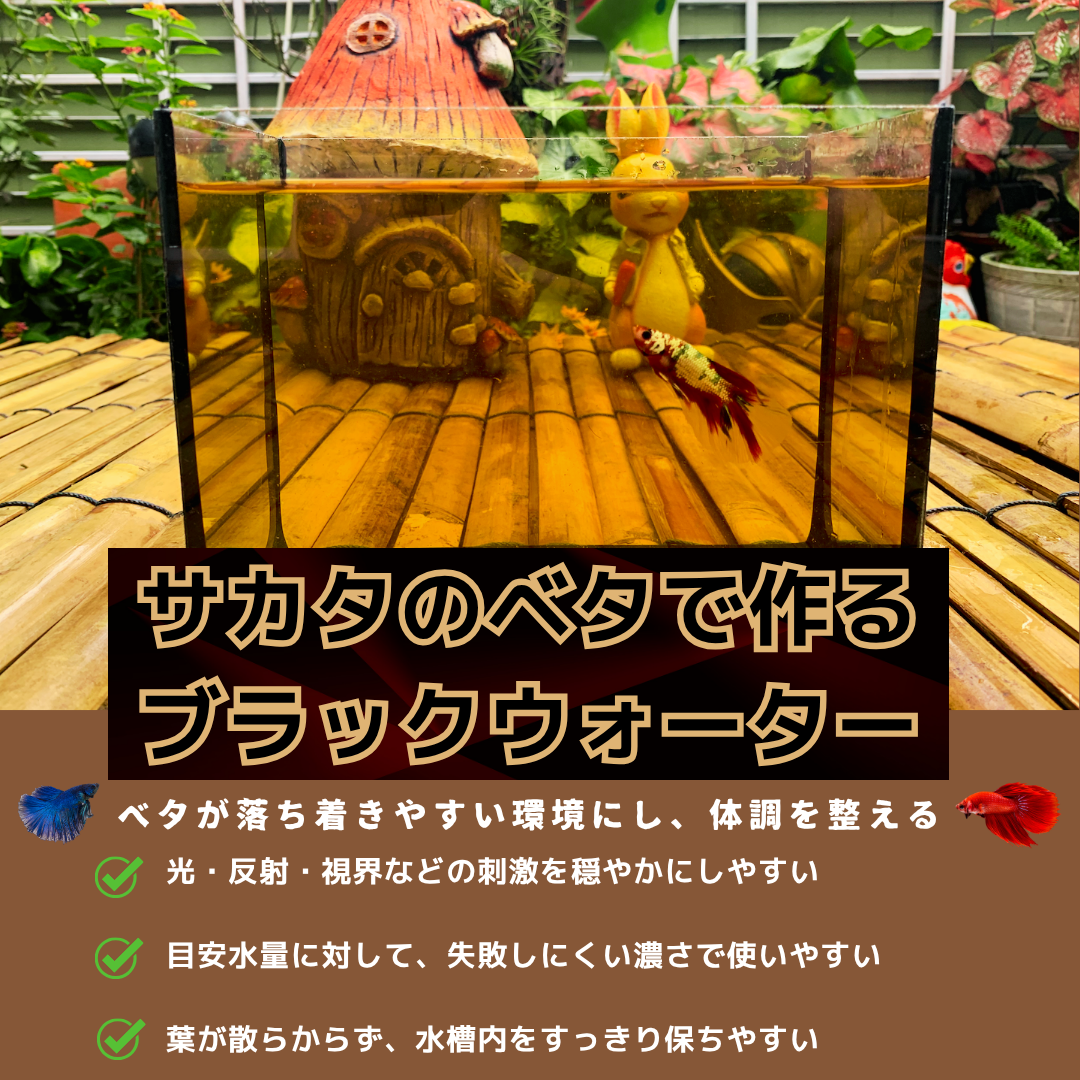 【10パック】お得な15%割引 送料無料｜ベタ発酵水（タイ式ファームレシピ）水質調整ティーバッグ 1パック12袋入
