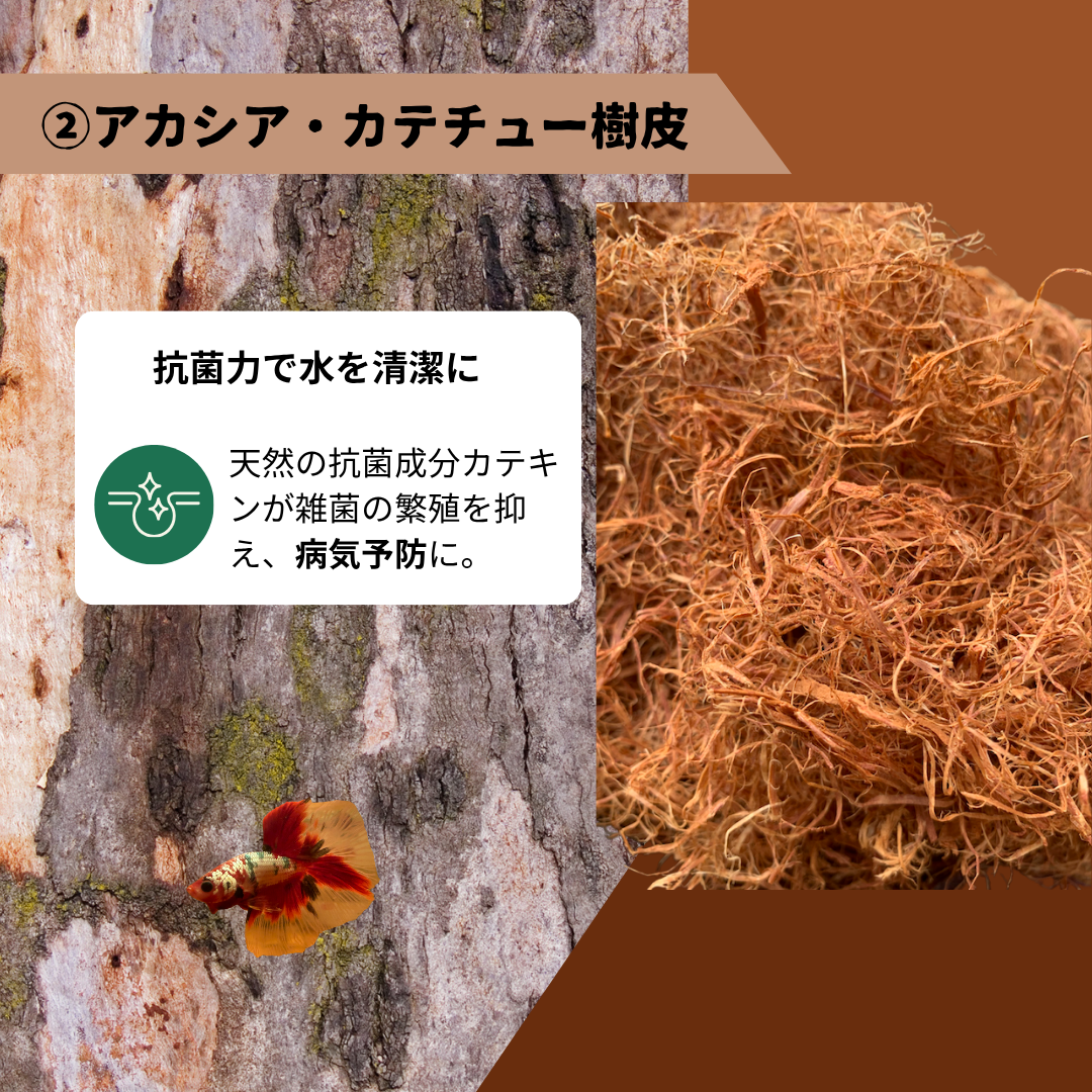 【5パック】お得な15%割引 送料無料｜ベタ発酵水（タイ式ファームレシピ）水質調整ティーバッグ 1パック12袋入