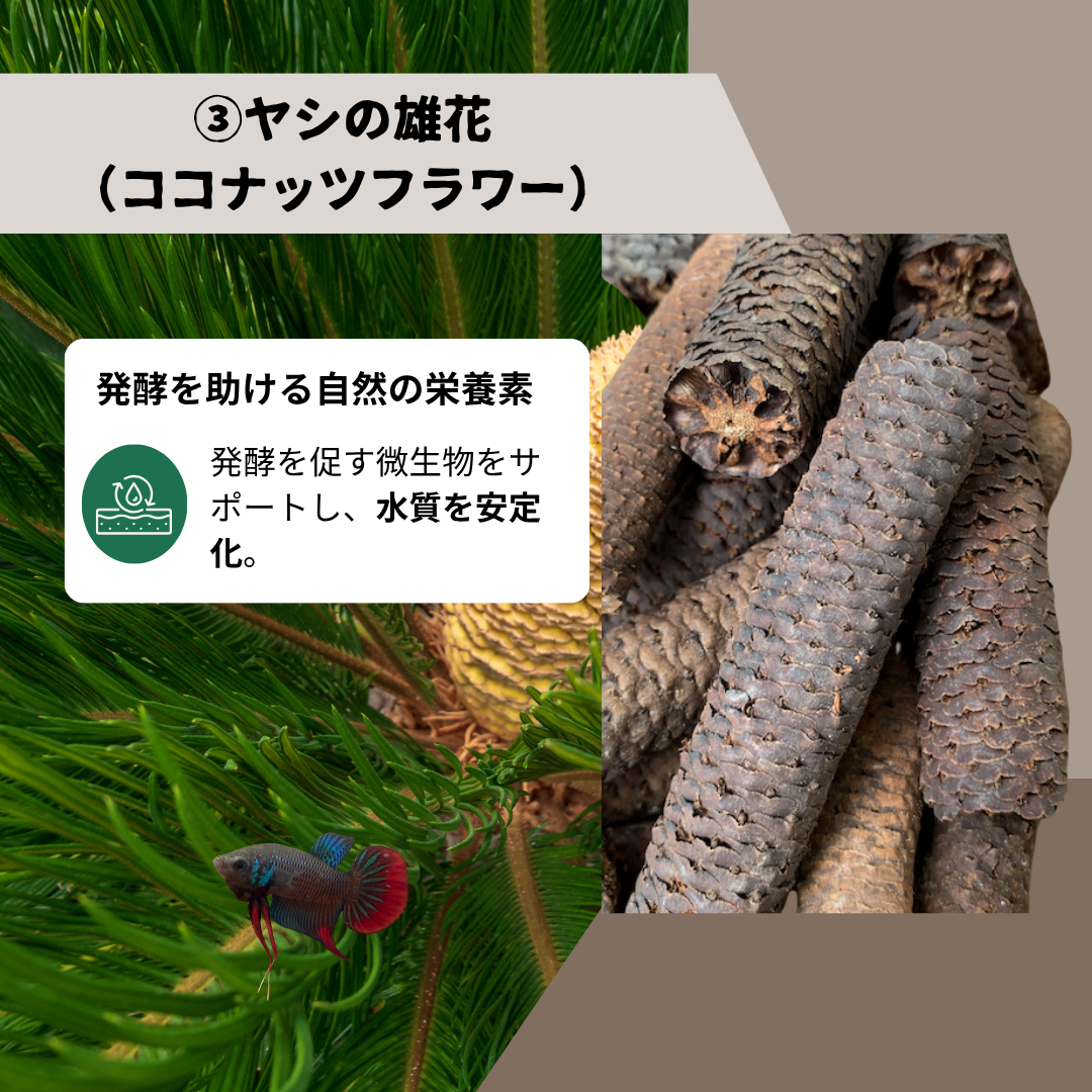 【5パック】お得な15%割引 送料無料｜ベタ発酵水（タイ式ファームレシピ）水質調整ティーバッグ 1パック12袋入