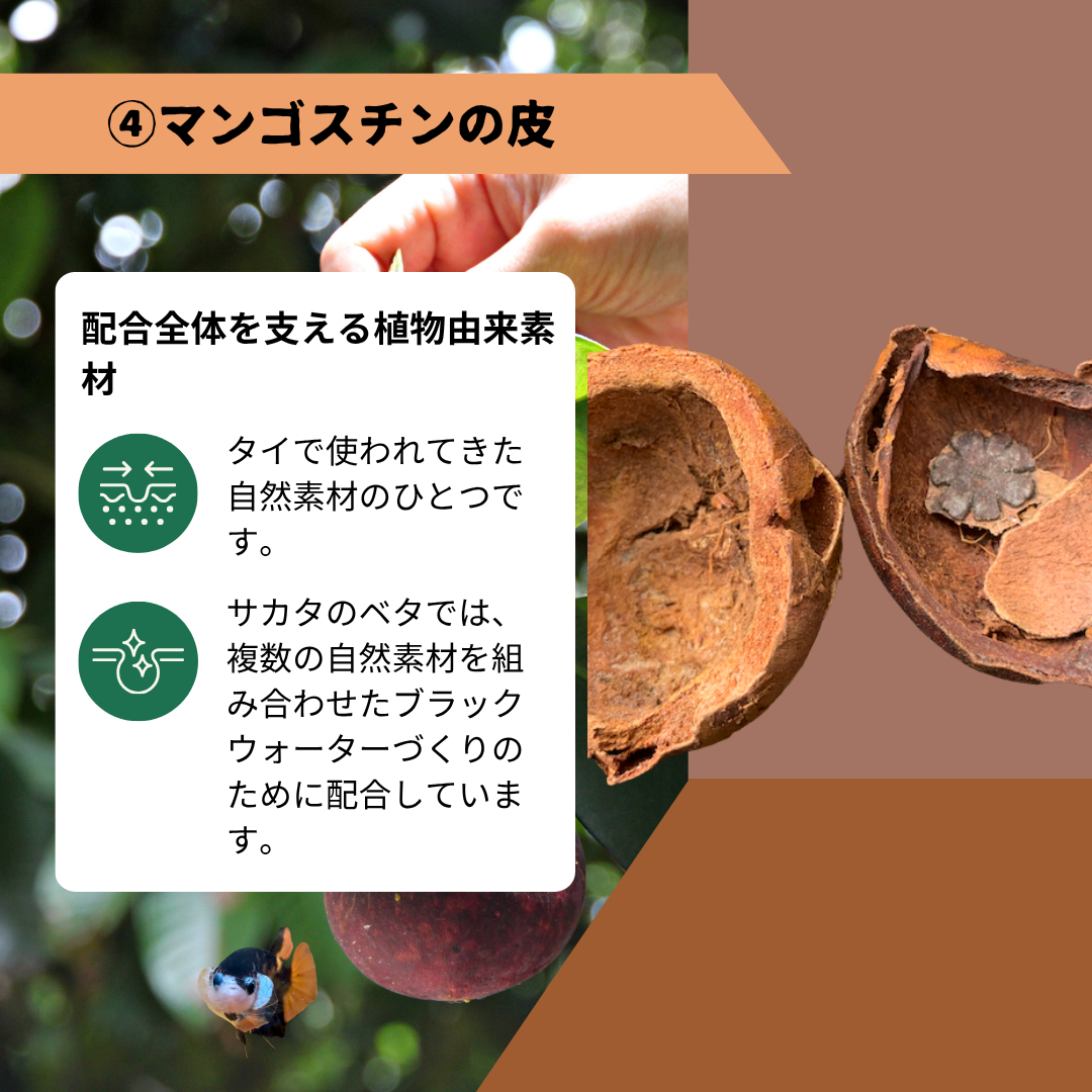 【10パック】お得な15%割引 送料無料｜ベタ発酵水（タイ式ファームレシピ）水質調整ティーバッグ 1パック12袋入