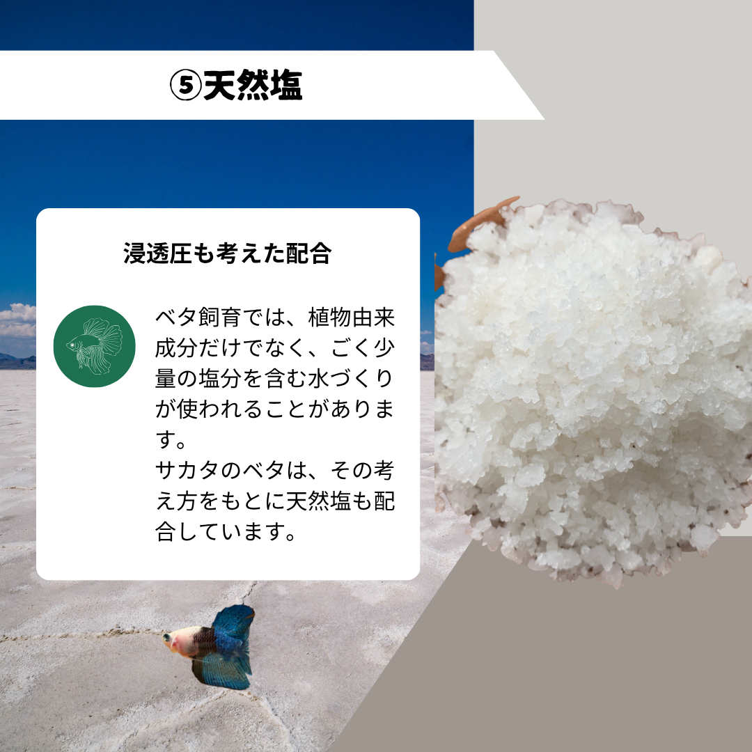 【10パック】お得な15%割引 送料無料｜ベタ発酵水（タイ式ファームレシピ）水質調整ティーバッグ 1パック12袋入