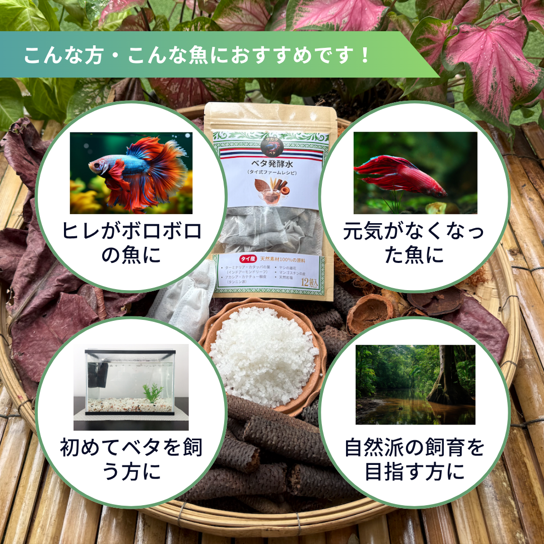 【5パック】お得な15%割引 送料無料｜ベタ発酵水（タイ式ファームレシピ）水質調整ティーバッグ 1パック12袋入