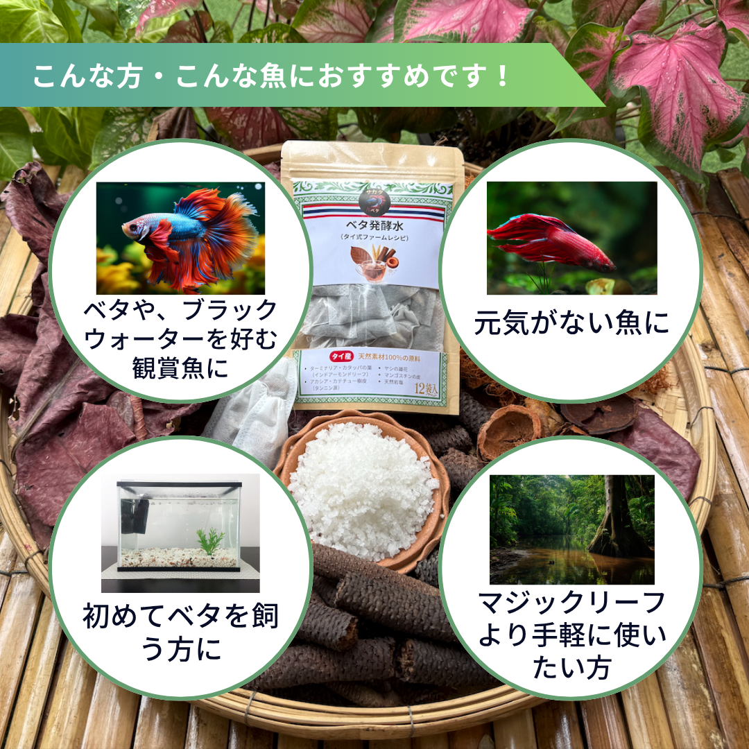 【10パック】お得な15%割引 送料無料｜ベタ発酵水（タイ式ファームレシピ）水質調整ティーバッグ 1パック12袋入