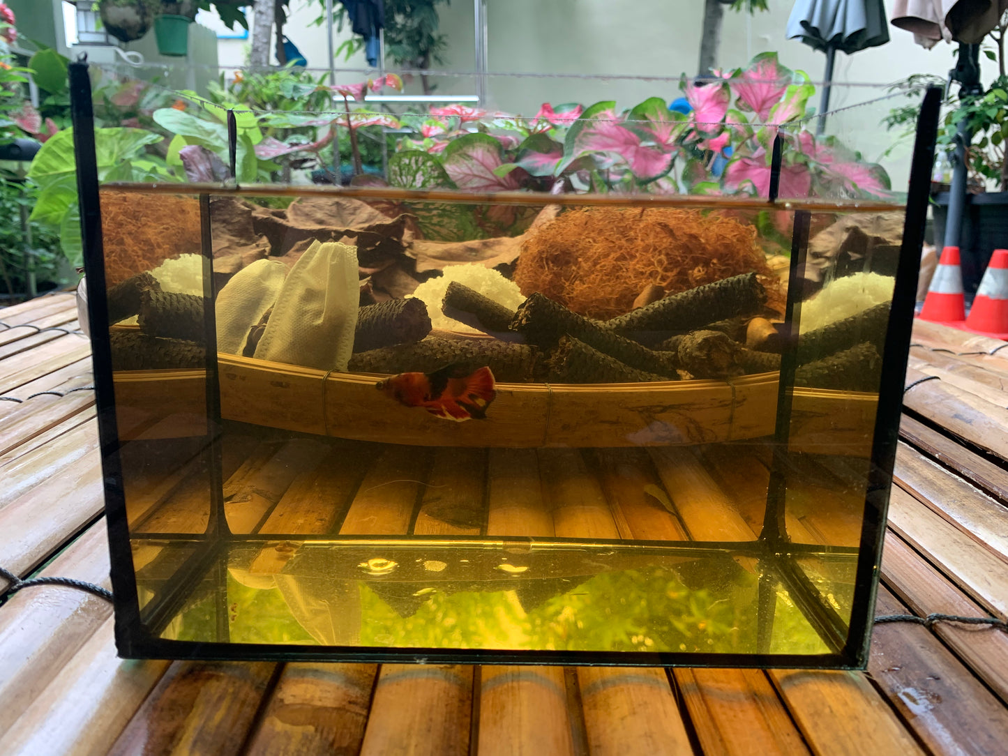 【5パック】お得な15%割引 送料無料｜ベタ発酵水（タイ式ファームレシピ）水質調整ティーバッグ 1パック12袋入